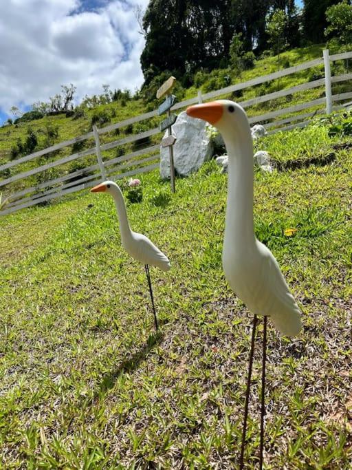 Sitio Vale Das Pedras อัลเฟรโด วากเนอร์ ภายนอก รูปภาพ